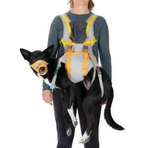 BackTrak™ Dog Evacuation Kit