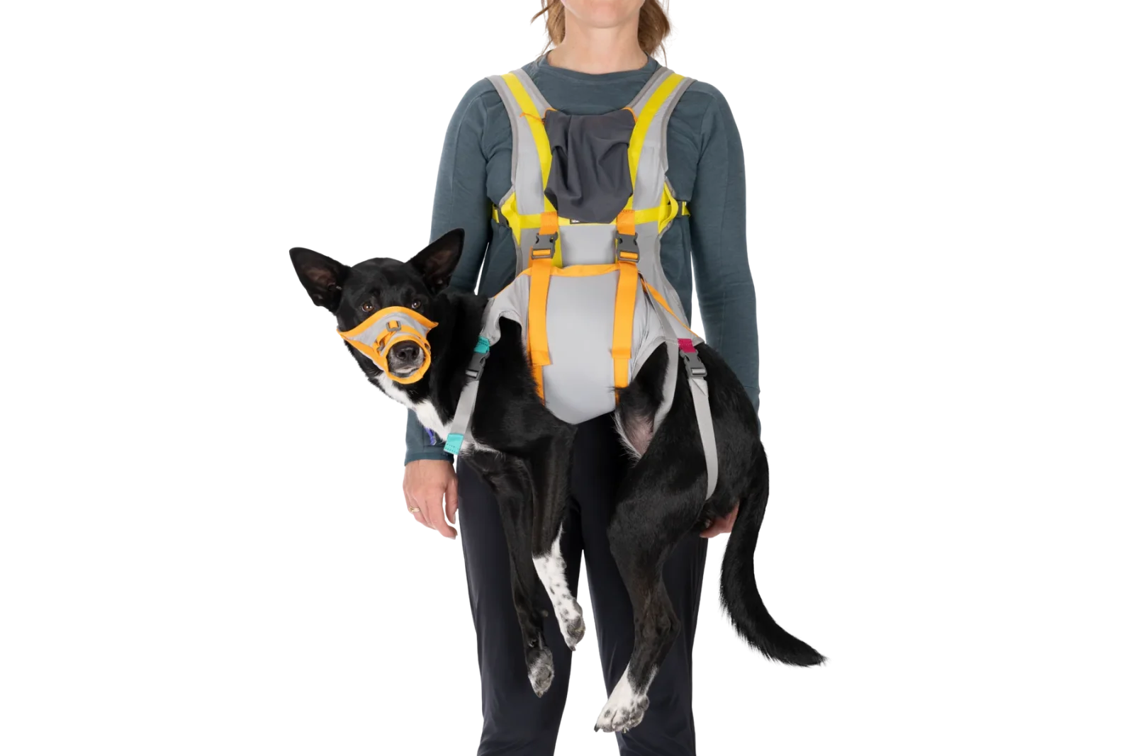 BackTrak™ Dog Evacuation Kit