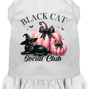 Pink and Black Cat Social Club Pet Dress
