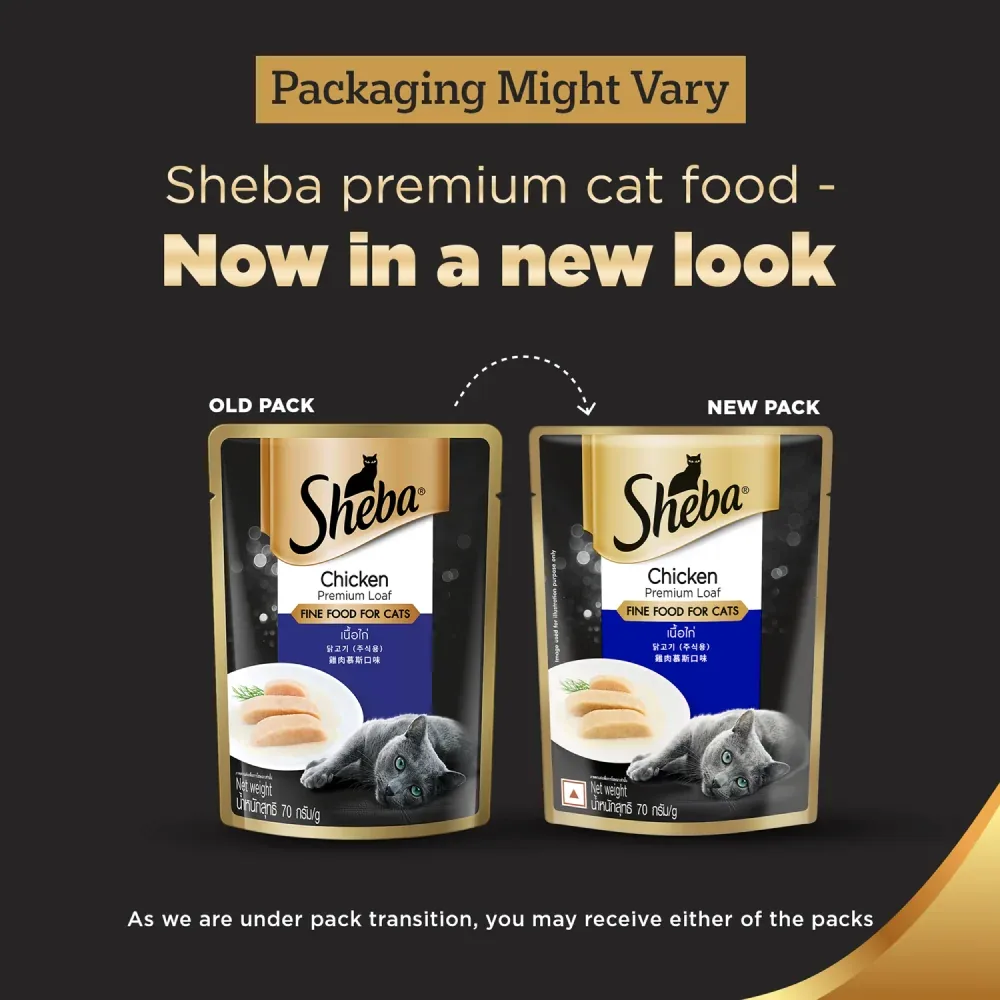 Sheba Chicken Loaf Rich Premium Adult Fine Wet Food and Chicken All Life Stage Cat Dry Food Combo - Image 2