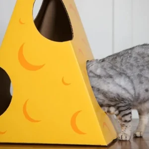 Monster Cheese Wedge Cardboard Cat House