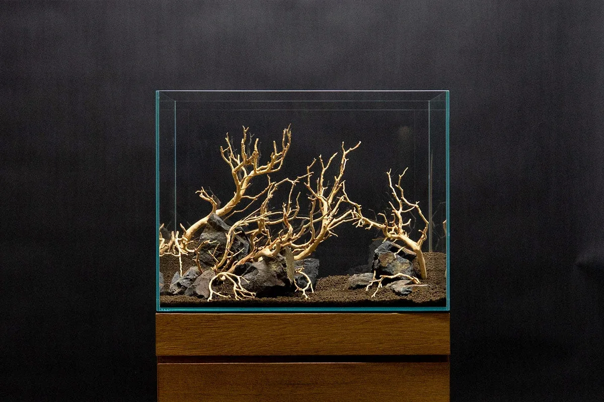 Manzanita Driftwood (Sandblasted) - Image 2