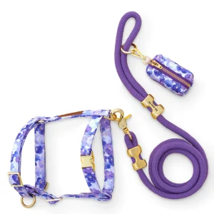 Pressed Pansies Harness Walk Set