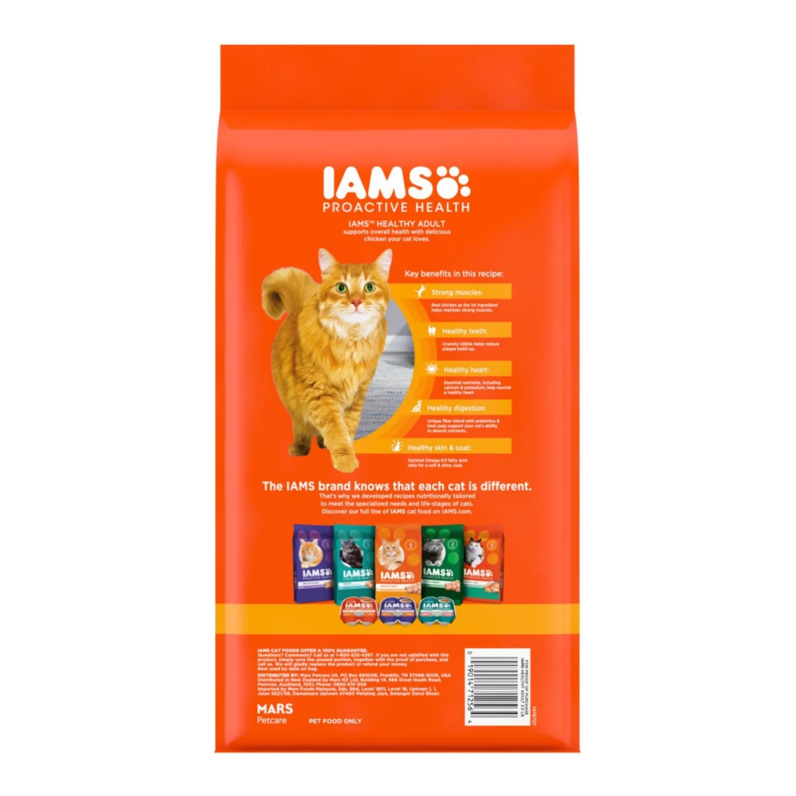 IAMS Proactive Health Adult Dry Cat Food Chicken, 3.5 lb - Image 2
