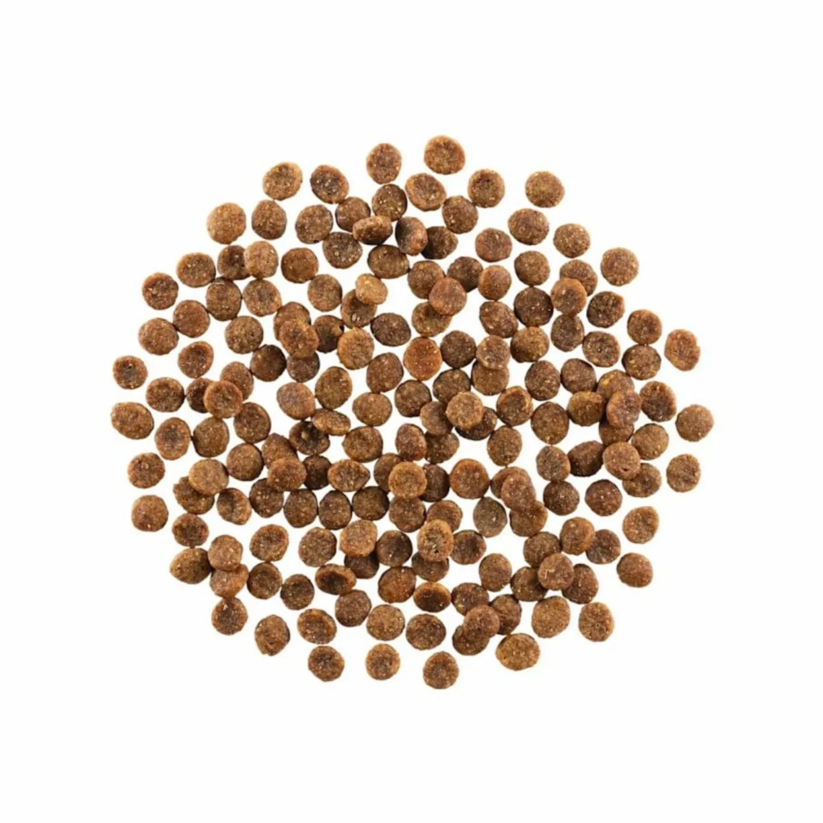 Petcurean Go! Solutions Skin + Coat Care Dry Cat Food - Grain-Free Salmon, 3 lb - Image 2