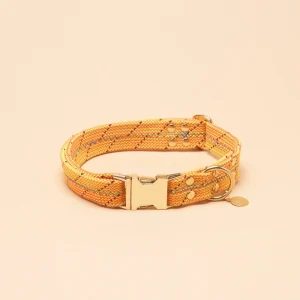 Dexter Large Dog Collar - Turbo Yellow