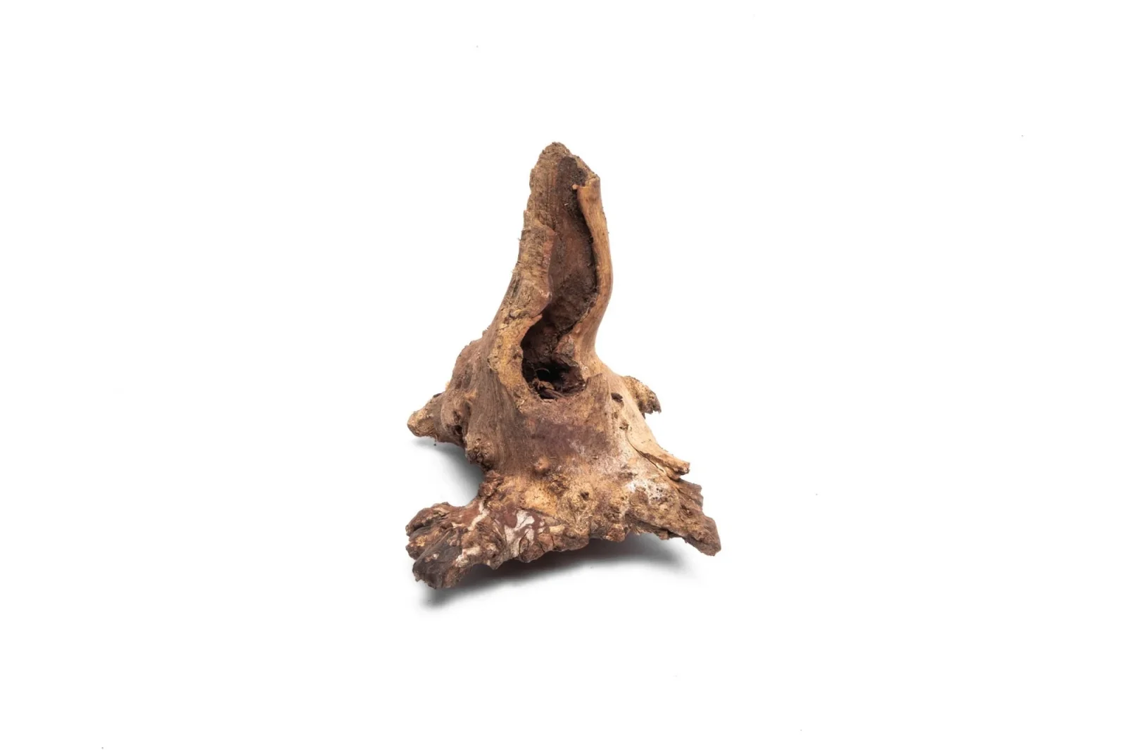 Driftwood Stump (Extra Extra Small) - Image 2