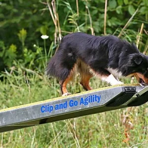 Clean Run Clip and Go Agility Seesaw Add-on Target Plate
