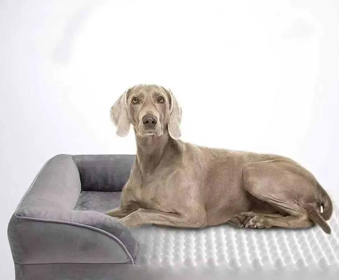 Orthopedic Memory Foam Dog Bed – Supports Comfort & Better Sleep - Image 2