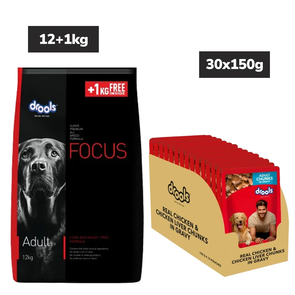Drools Focus Super Premium Dry Food and Chicken & Liver Chunks in Gravy Adult Dog Wet Food Combo - Image 2