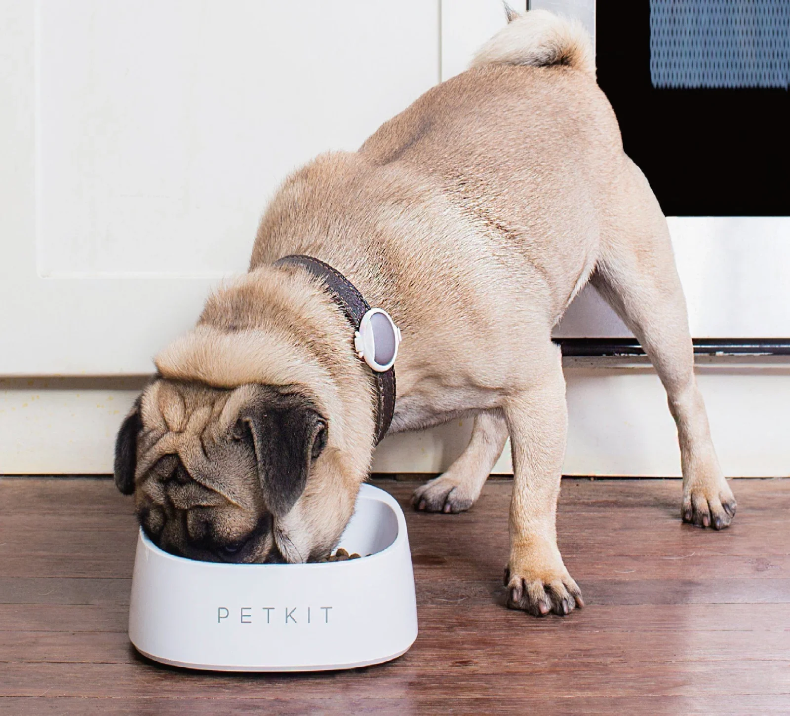PETKIT ® 'FRESH' Anti-Bacterial Waterproof Smart Food Weight Calculating Digital Scale Pet Cat Dog Bowl Feeder w/ Inlcuded Batteries - Image 2