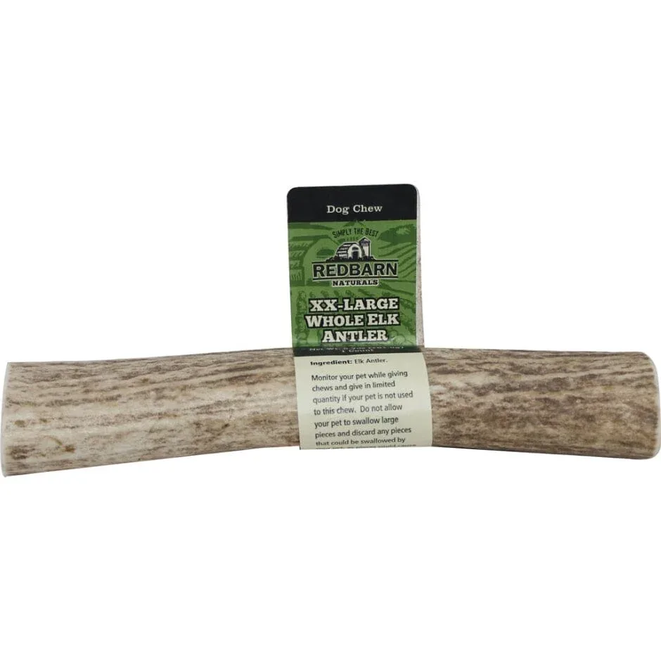 Red Barn Whole Deer Antler Natural Dog Chew