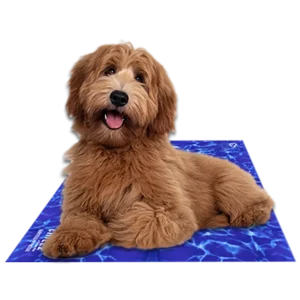 Chillz Gel Mat