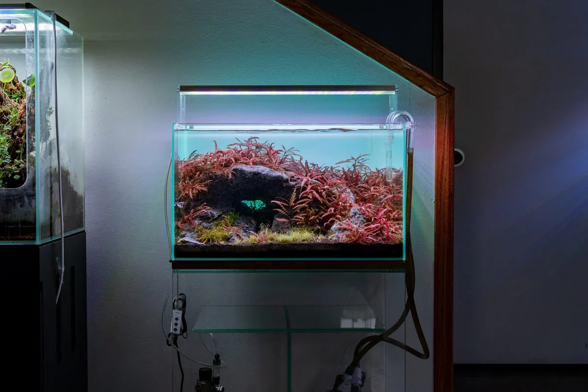 Twinstar LED - E Series Vr. IV Aquarium Light Fixture - Image 2