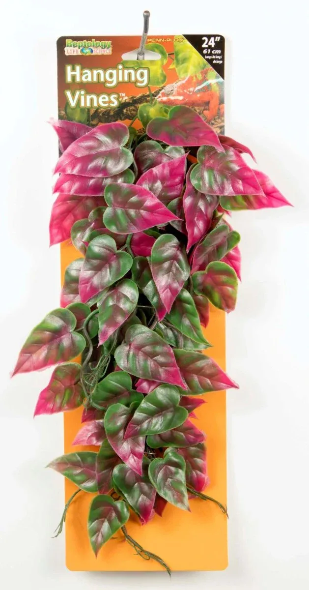 Penn-Plax Reptile Vine, Green, Red, 24 in