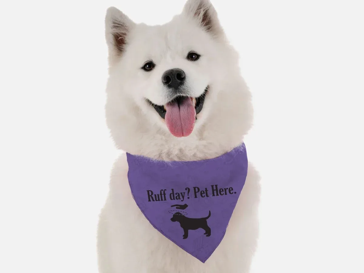 BanDoggie Ruff Day? Pet Here. Dog Bandana - Funny Microfiber Pet Bandana, Made in USA - Image 2