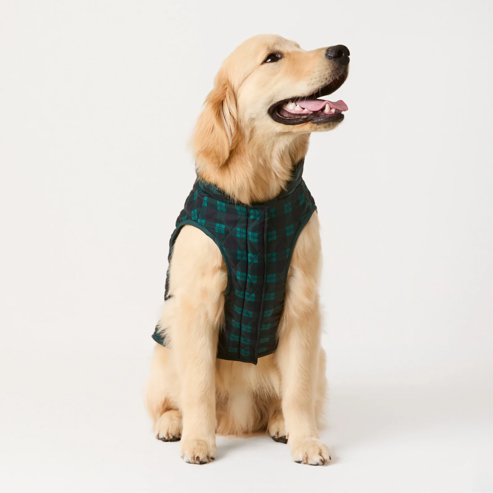 Black Watch Plaid Reversible Dog Jacket