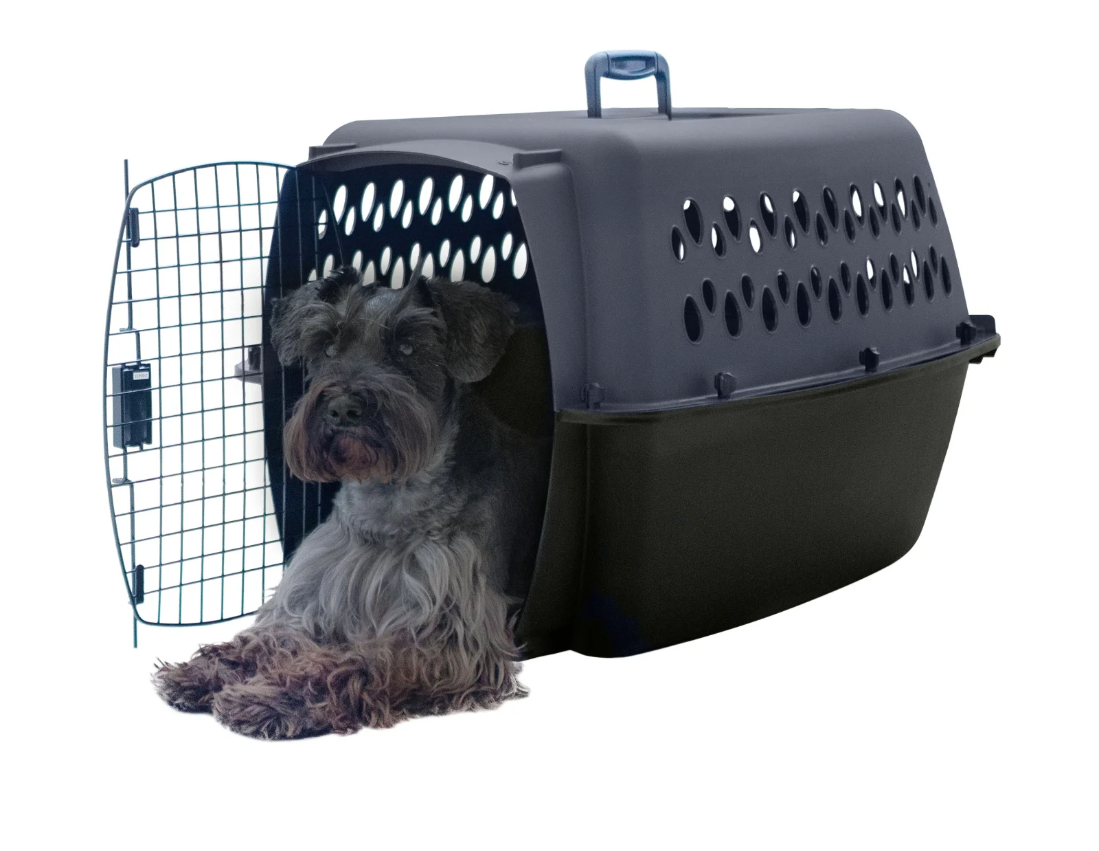 Petmate All Purpose Kennels- Pet Porter - Image 2