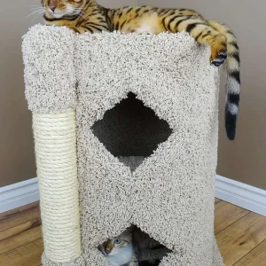 Premier 2-Story Solid Wood Cat Cavern