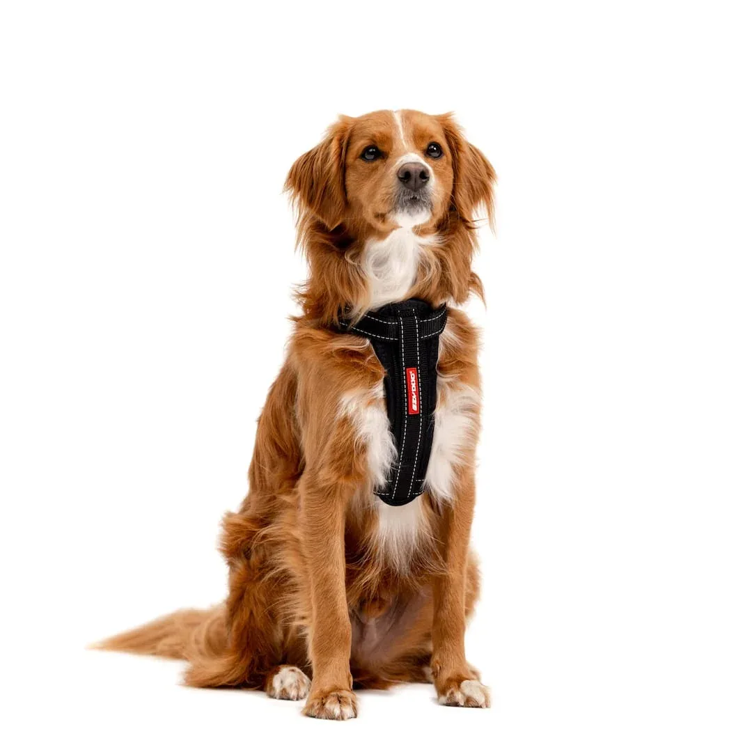 Chest Plate™ Dog Harness - Image 2