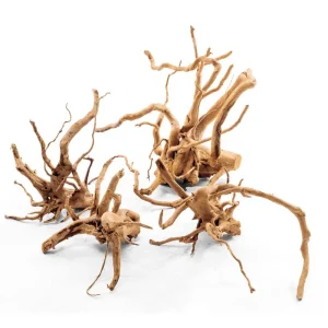 Spiderwood