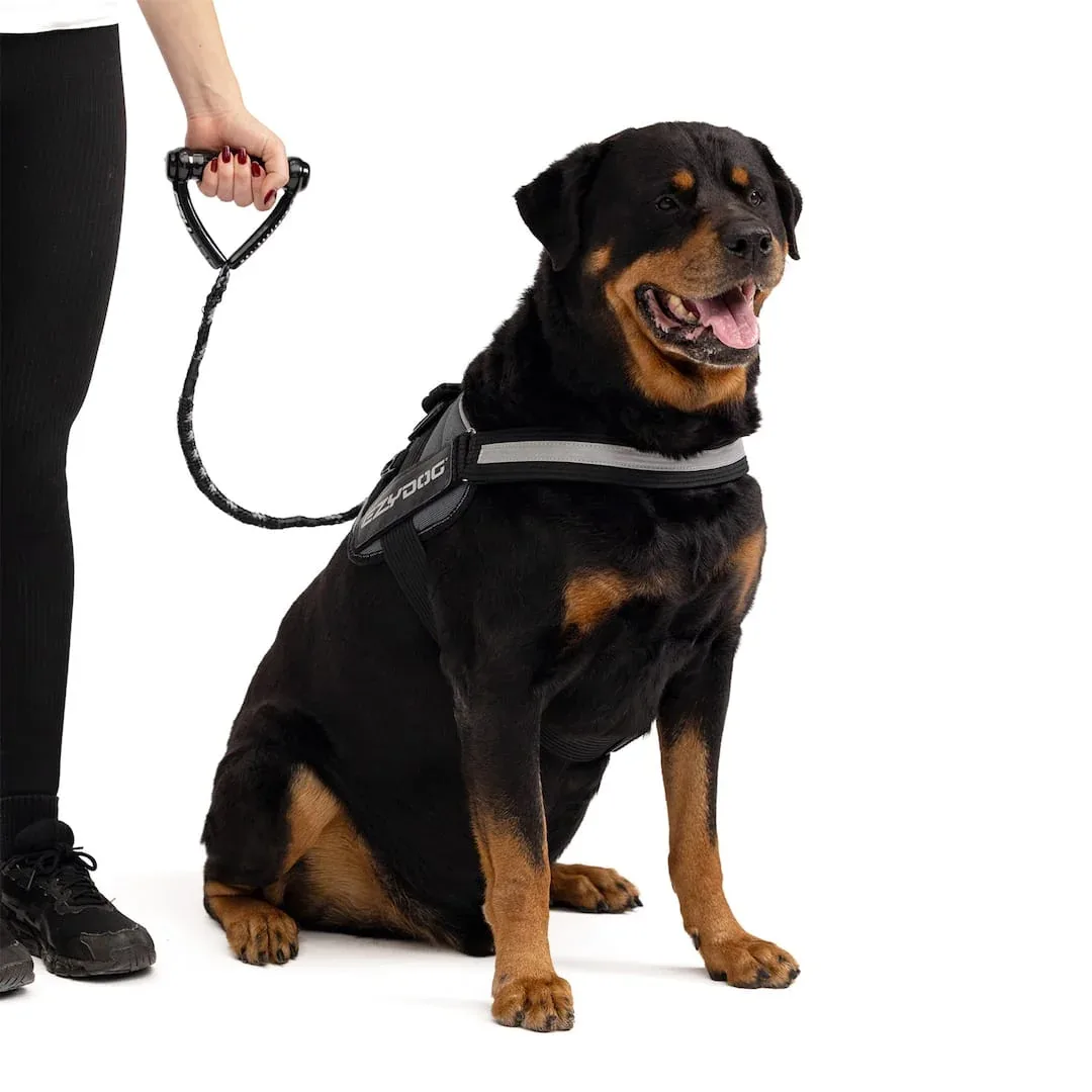 Cujo™ Leash - Image 2