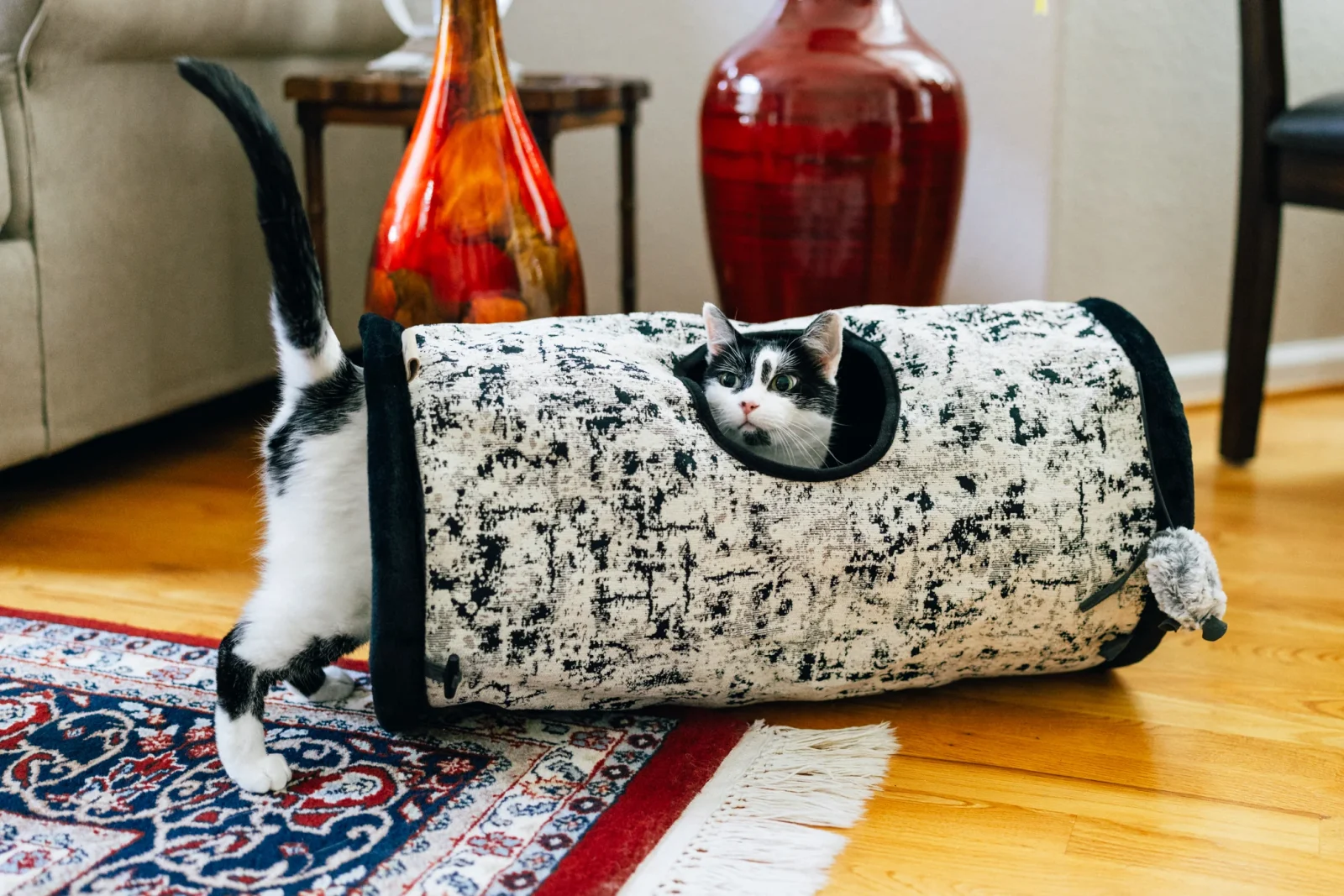Feline Frenzy Purr & Pounce Cat Tunnel - Image 2