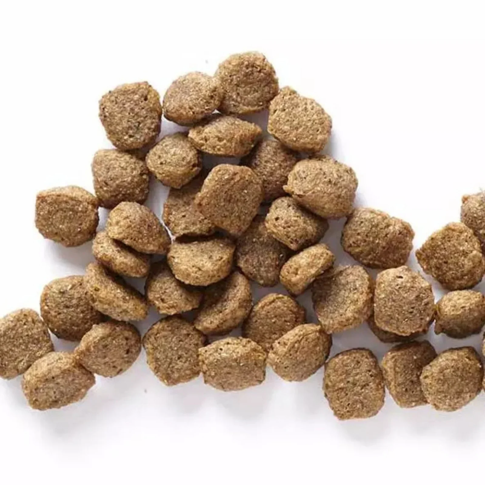 Wholesomes Dry Dog Food Fish Meal & Rice 40 lb - Image 2