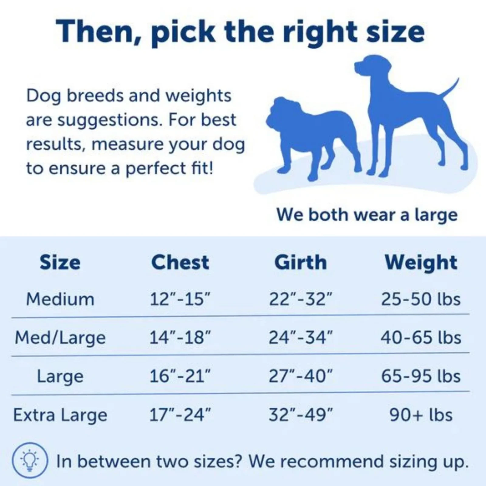 PetSafe Dog Easy Walk Dog Harness, Blue Medium - Image 2
