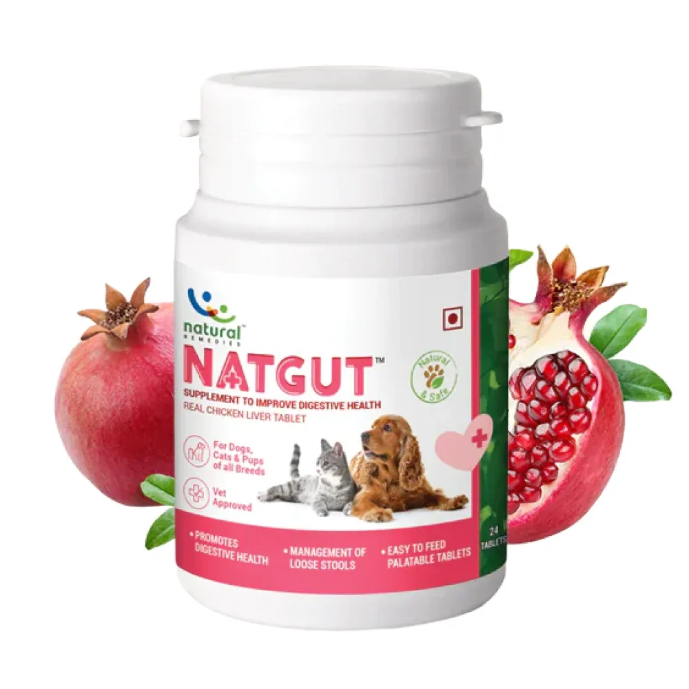 Natural Remedies Natgut Digestive Tablets & Fresh Me Up Bloom Dry Shampoo Dogs & Cats Combo - Image 2