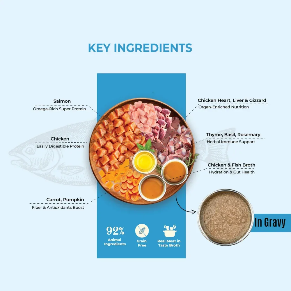 Bruno's Wild Essentials Slurpup Salmon & Chicken Recipe Dog Wet Food - Image 2