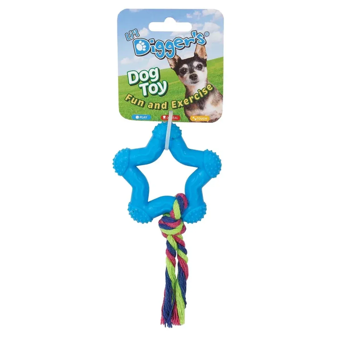 DGR TPR Star and Rope Dog Toy Blue