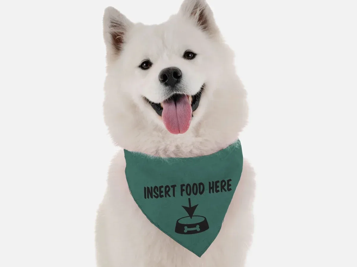 BanDoggie Insert Dog Food Here Dog Bandana - Funny Microfiber Pet Bandana, USA Made