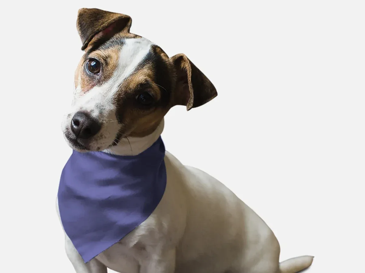 BanDoggie Lovely Lavender Solid Color Dog Bandana - Soft Microfiber, Made in USA - Image 2