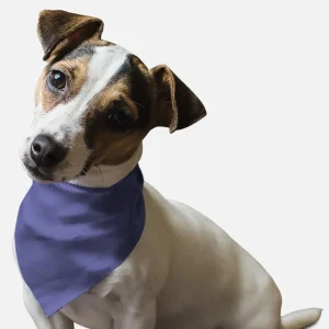 BanDoggie Lovely Lavender Solid Color Dog Bandana - Soft Microfiber, Made in USA