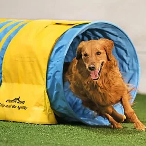 Clean Run Clip and Go Agility Deluxe Tunnel Bags