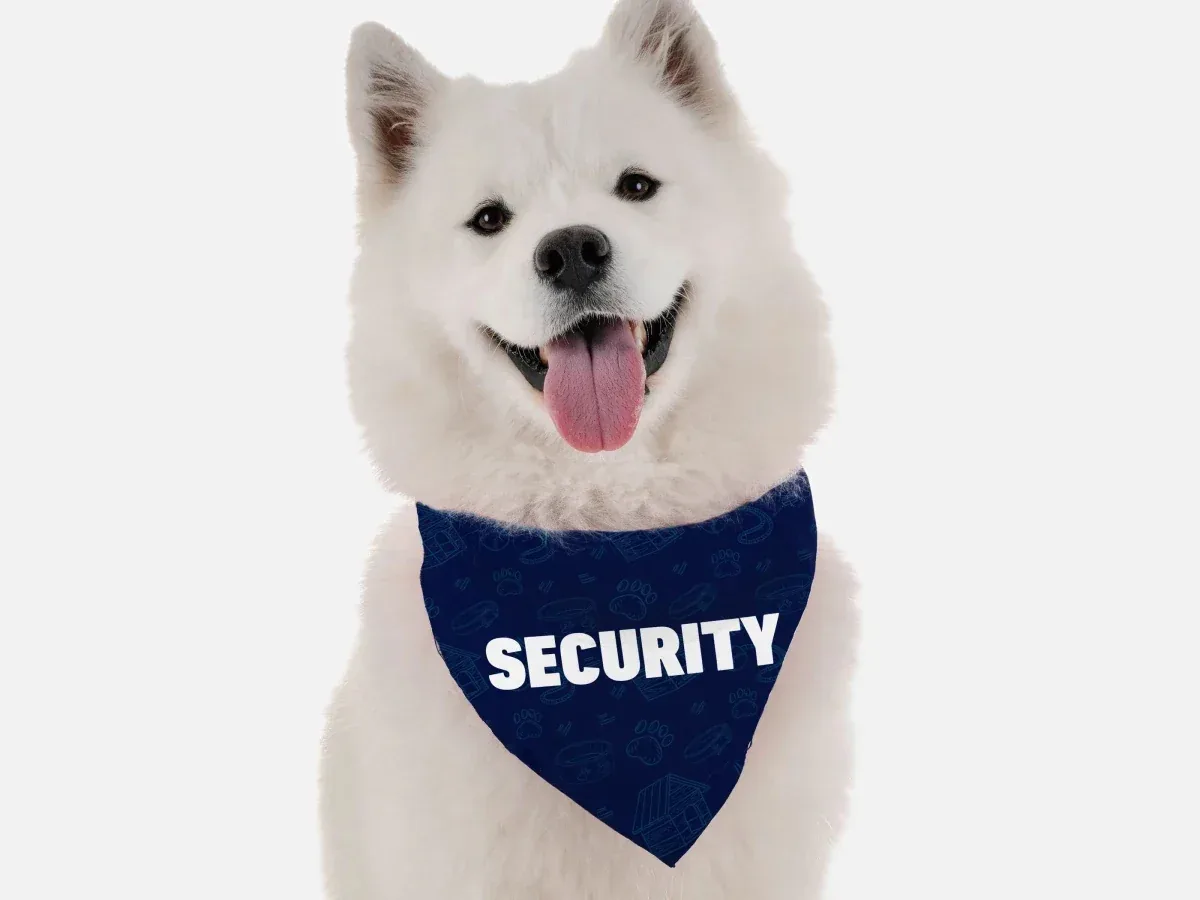 BanDoggie Security Funny Dog Bandana