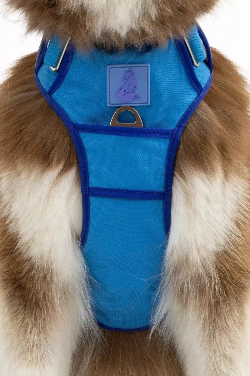 Aria the Fox Dockside Adventures No-Pull Dog Harness - Ultimate Comfort - Image 2