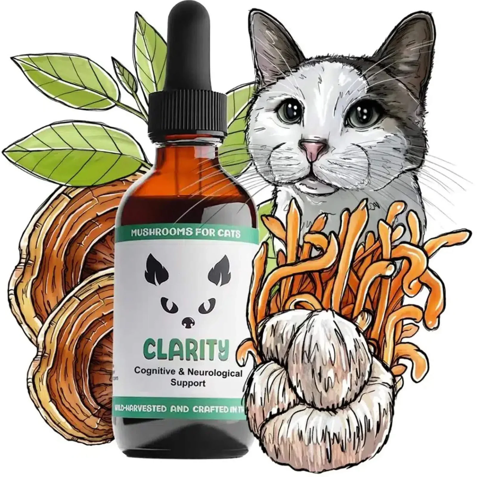 MycoDog Clarity Liquid Cognitive Support Supplement for Cats - Image 2