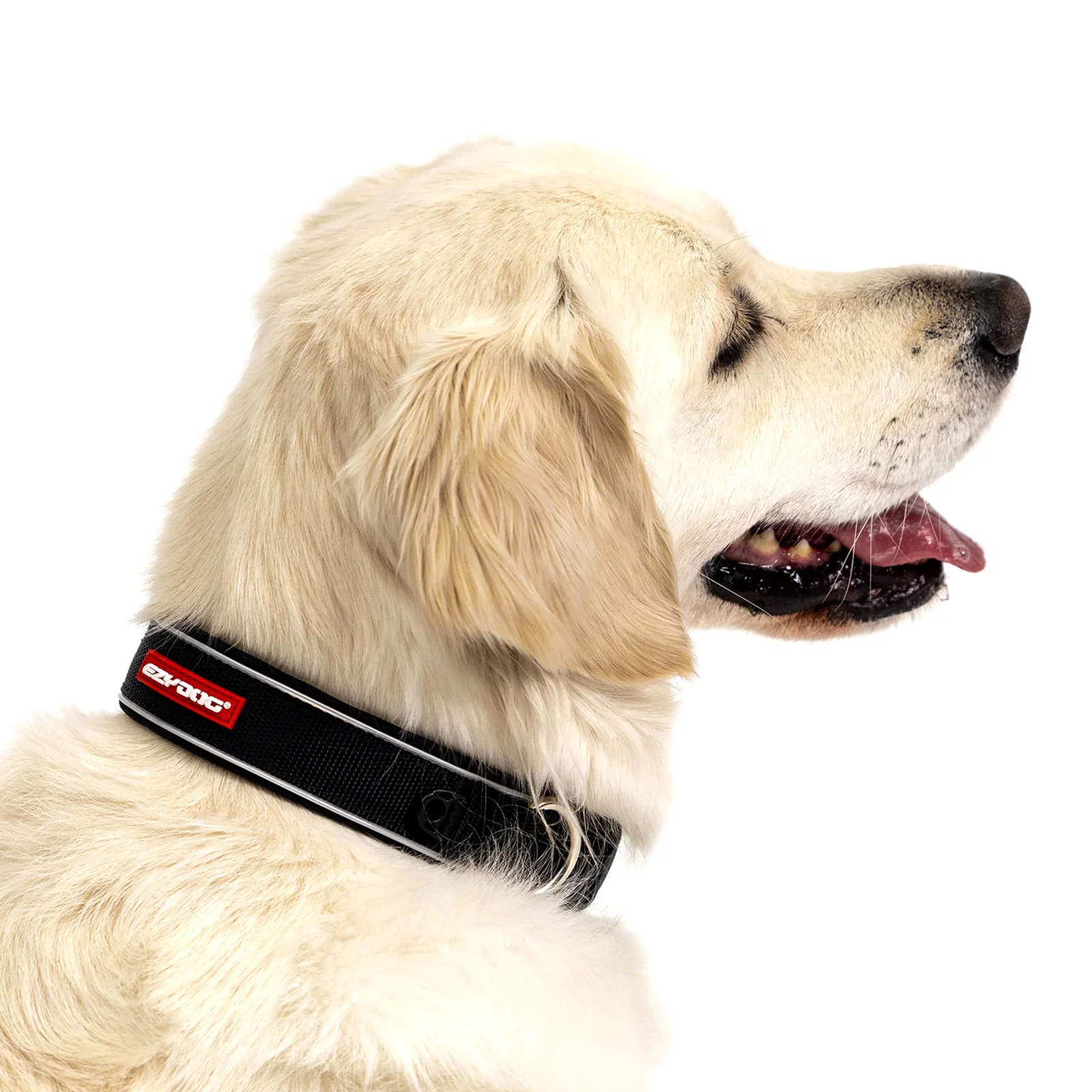 Neo™ Collar - Image 2