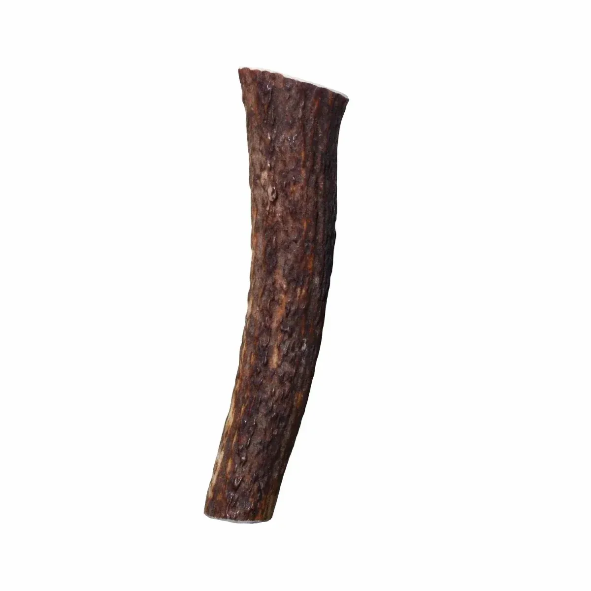 KONG Wild Antler Whole - Image 2