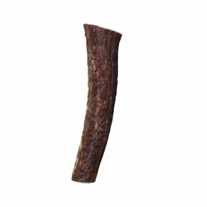 KONG Wild Antler Whole
