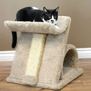 Premier Z Cat Scratcher — Solid Wood Angled Scratching Post for Cats