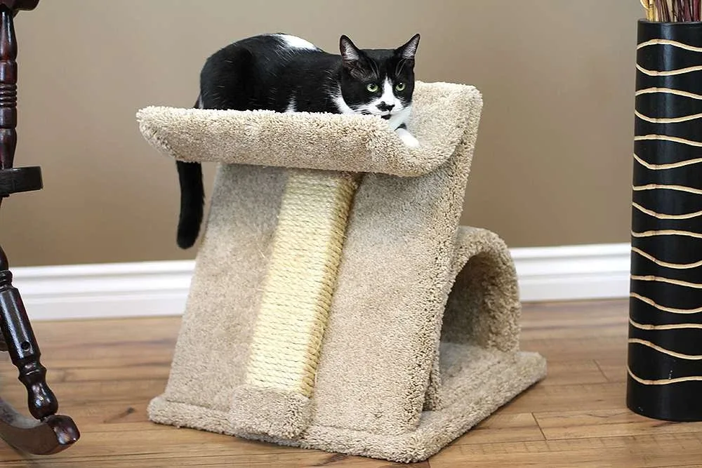 Premier Z Cat Scratcher — Solid Wood Angled Scratching Post for Cats