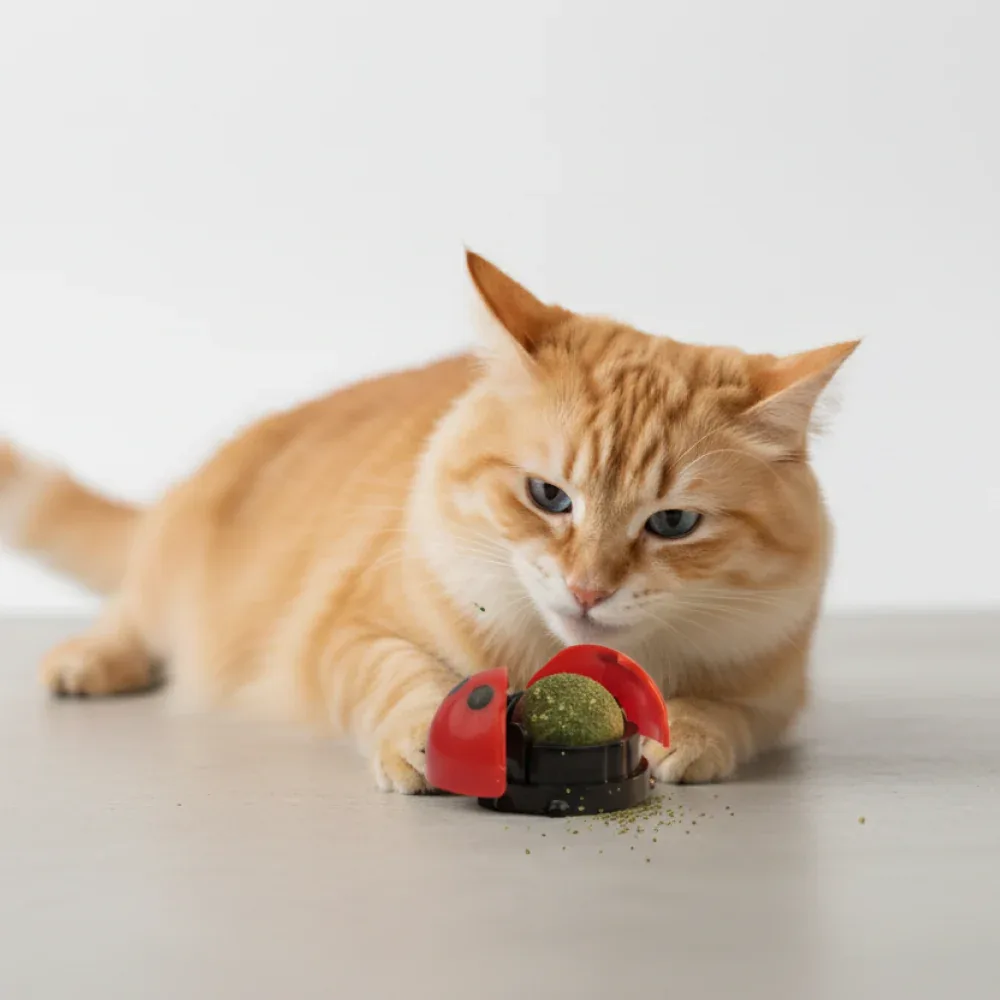 Skatrs Ladybug Catnip Ball Toy for Cats