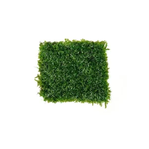 Mini Pellia on Stainless Steel Mesh