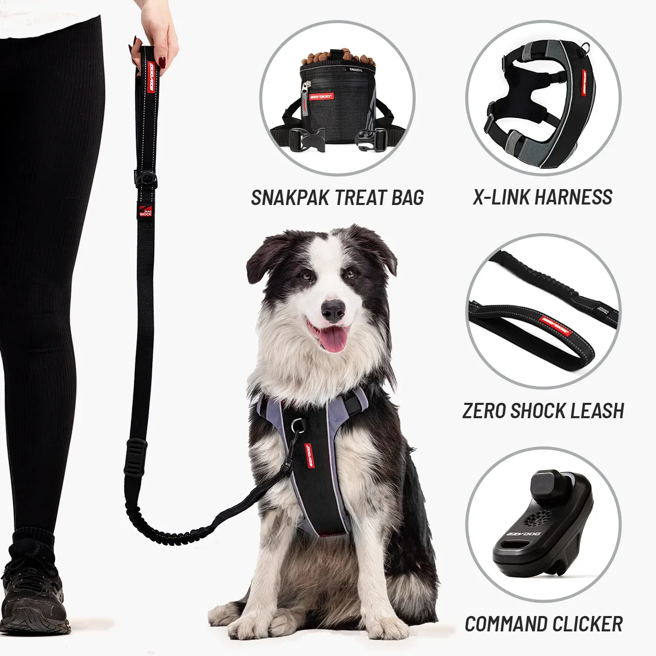 Come Sit Stay Training Kit - Image 2