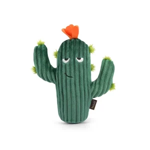 Blooming Buddies Prickly Pup Cactus