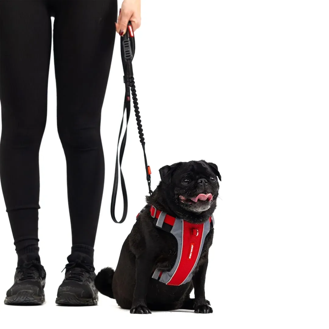 Zero Shock™ Lite Leash for Small Breeds - Image 2