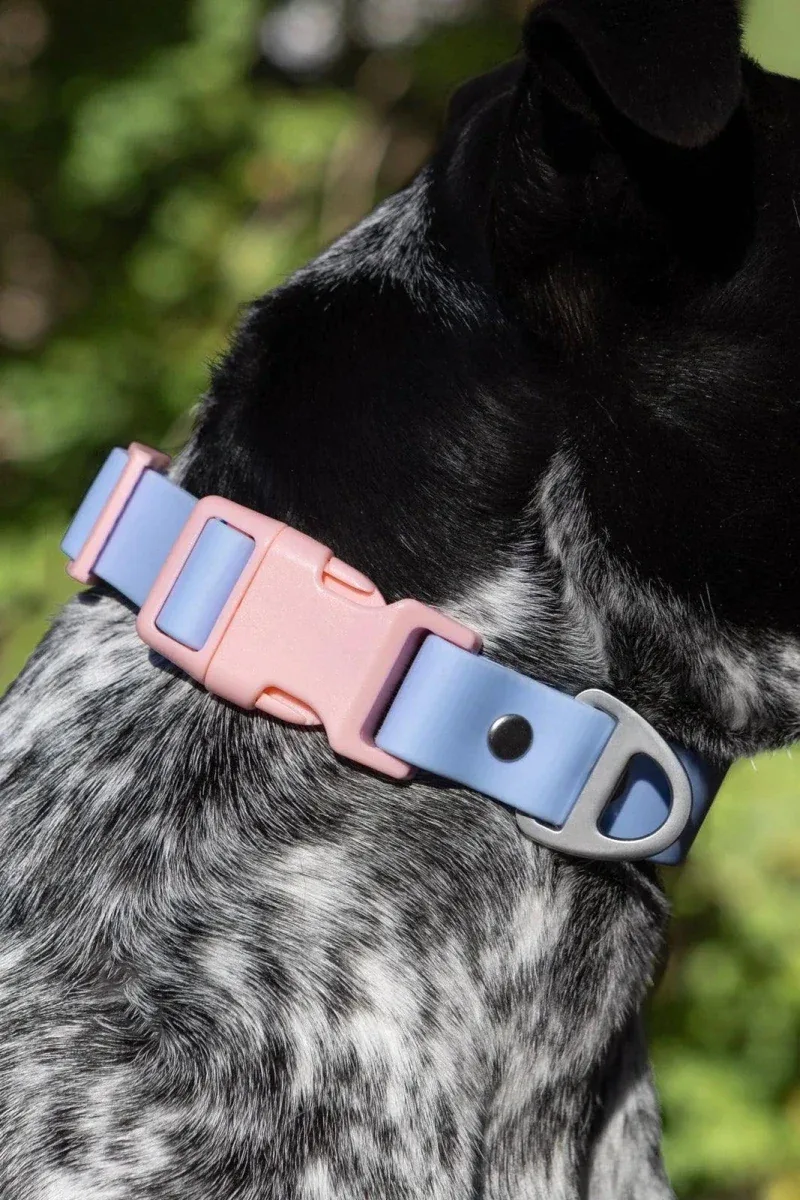 Blue Sky Orchid Waterproof Dog Collar - Image 2